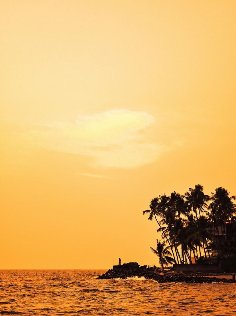 Palm trees silhouetted against an orange Pacific sunset