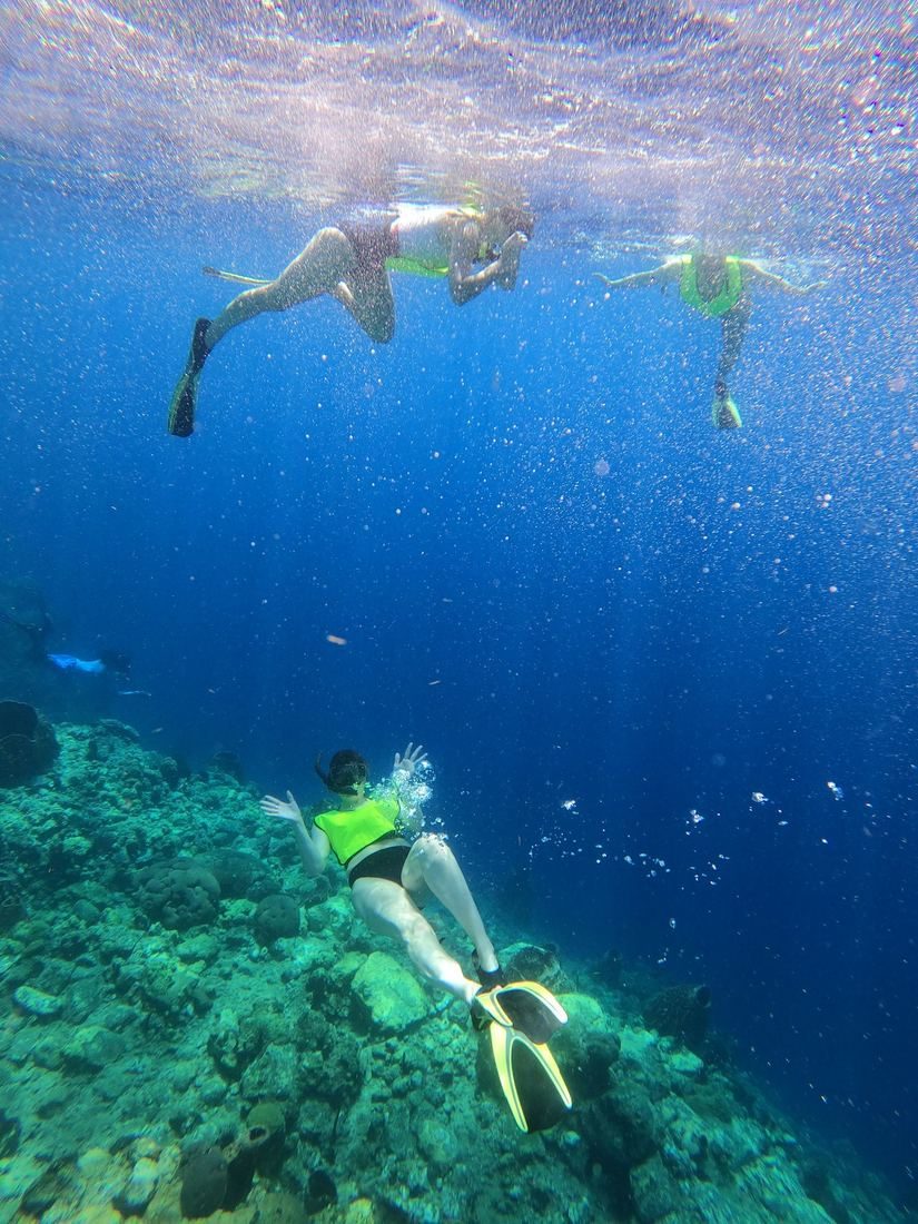 Women snorkeling over a coral reef in clear blue water